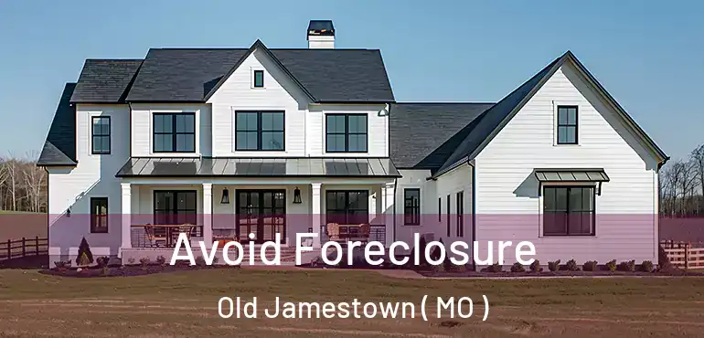  Avoid Foreclosure Old Jamestown ( MO )