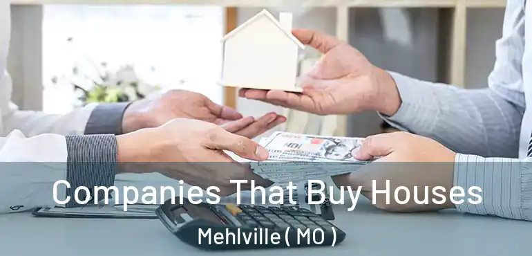 Companies That Buy Houses Mehlville ( MO )