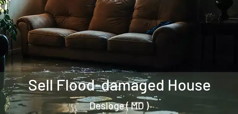  Sell Flood-damaged House Desloge ( MO )