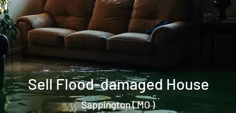  Sell Flood-damaged House Sappington ( MO )