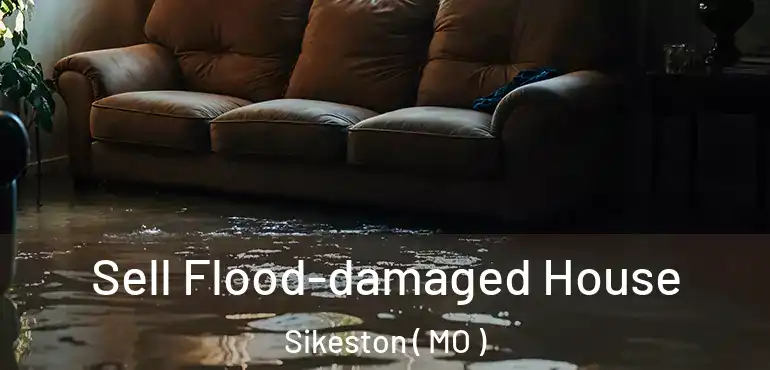 Sell Flood-damaged House Sikeston ( MO )