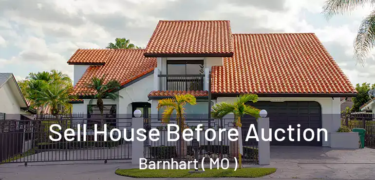  Sell House Before Auction Barnhart ( MO )