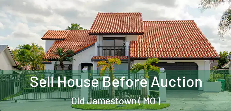  Sell House Before Auction Old Jamestown ( MO )