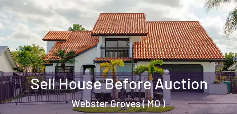  Sell House Before Auction Webster Groves ( MO )