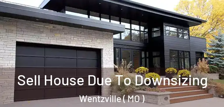  Sell House Due To Downsizing Wentzville ( MO )