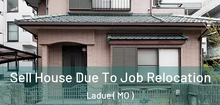  Sell House Due To Job Relocation Ladue ( MO )