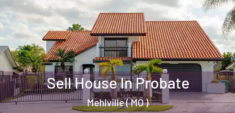  Sell House In Probate Mehlville ( MO )