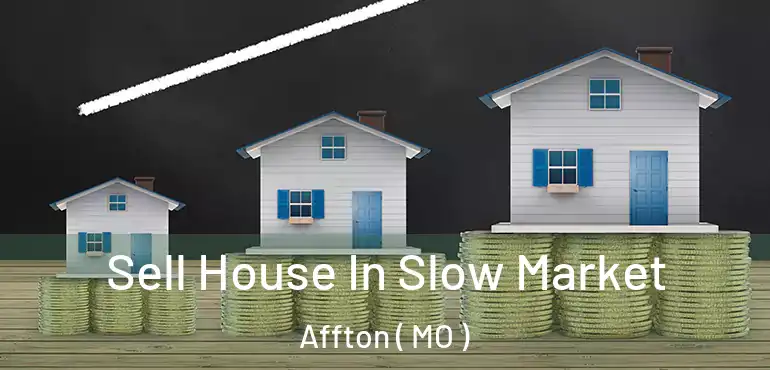  Sell House In Slow Market Affton ( MO )