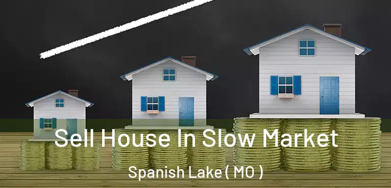  Sell House In Slow Market Spanish Lake ( MO )