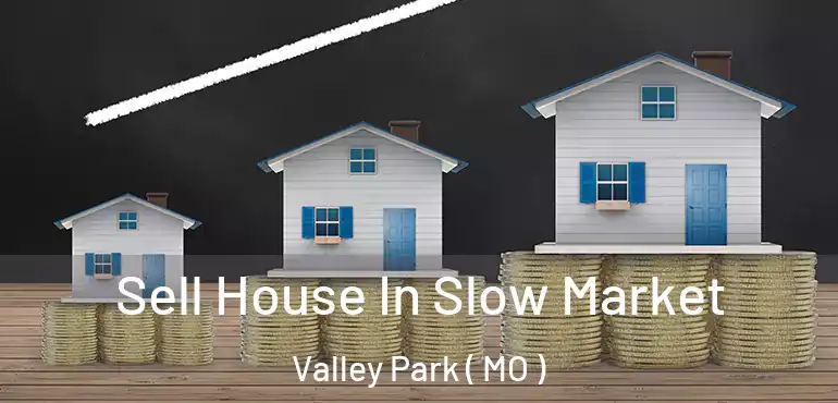  Sell House In Slow Market Valley Park ( MO )