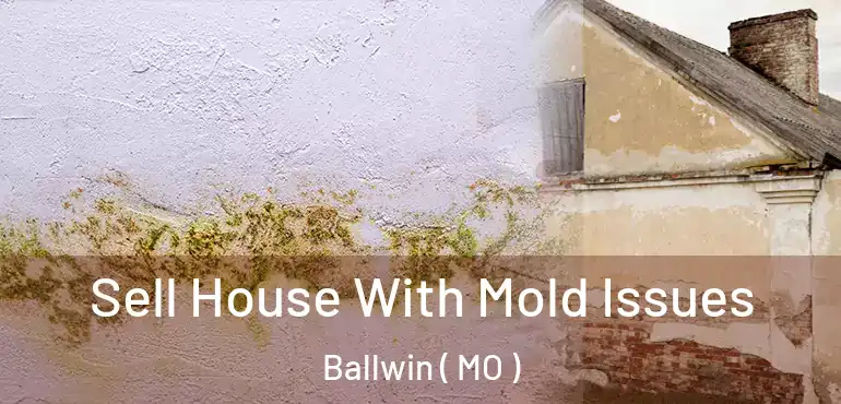  Sell House With Mold Issues Ballwin ( MO )