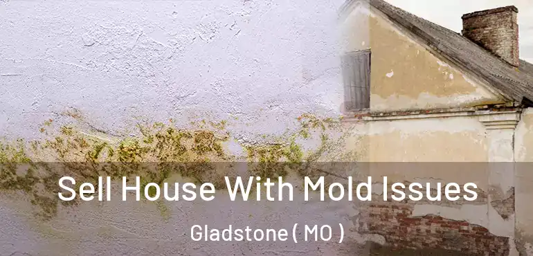  Sell House With Mold Issues Gladstone ( MO )