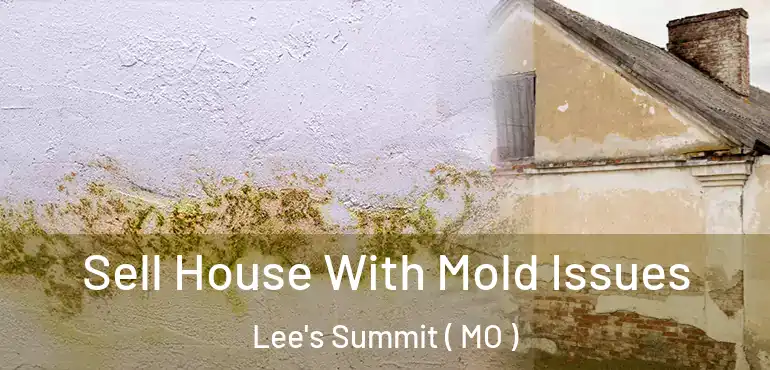  Sell House With Mold Issues Lee's Summit ( MO )