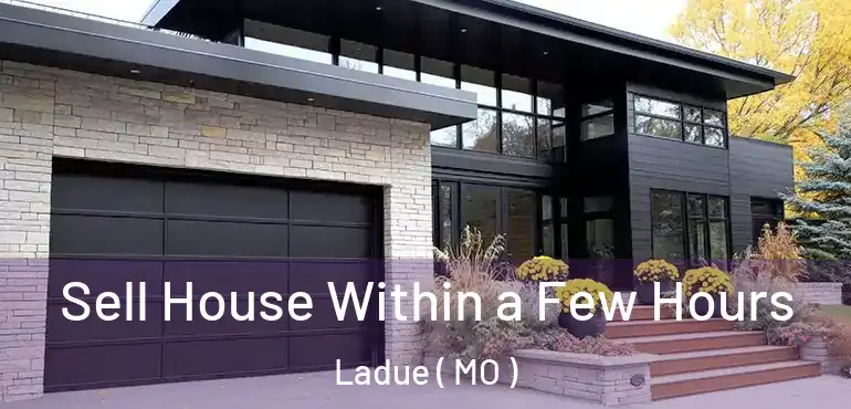  Sell House Within a Few Hours Ladue ( MO )