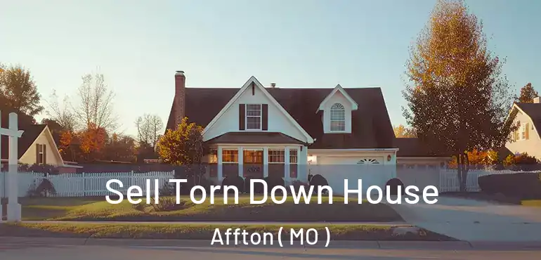  Sell Torn Down House Affton ( MO )